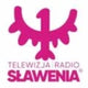 Telewizja Radio Sławenia