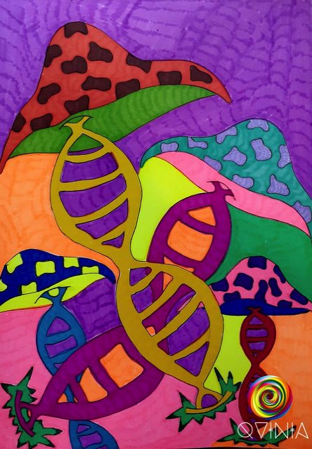 DNA Grzyby